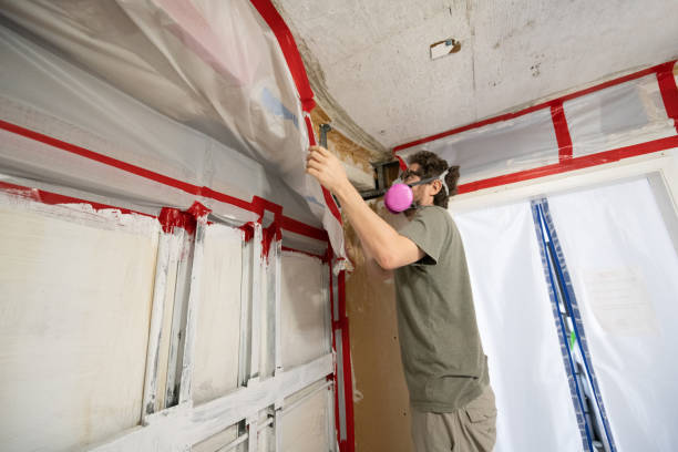 Best Mold Damage Restoration  in Jan Phyl Village, FL